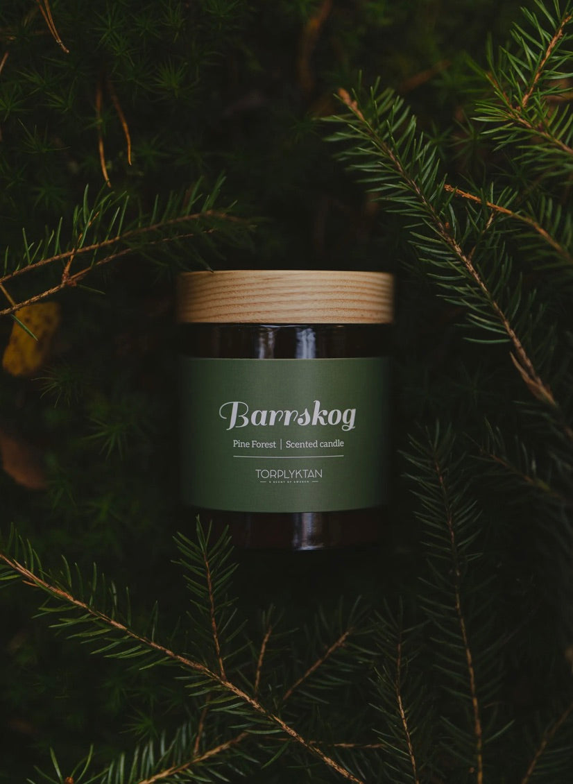 Doftljus Barrskog 150g